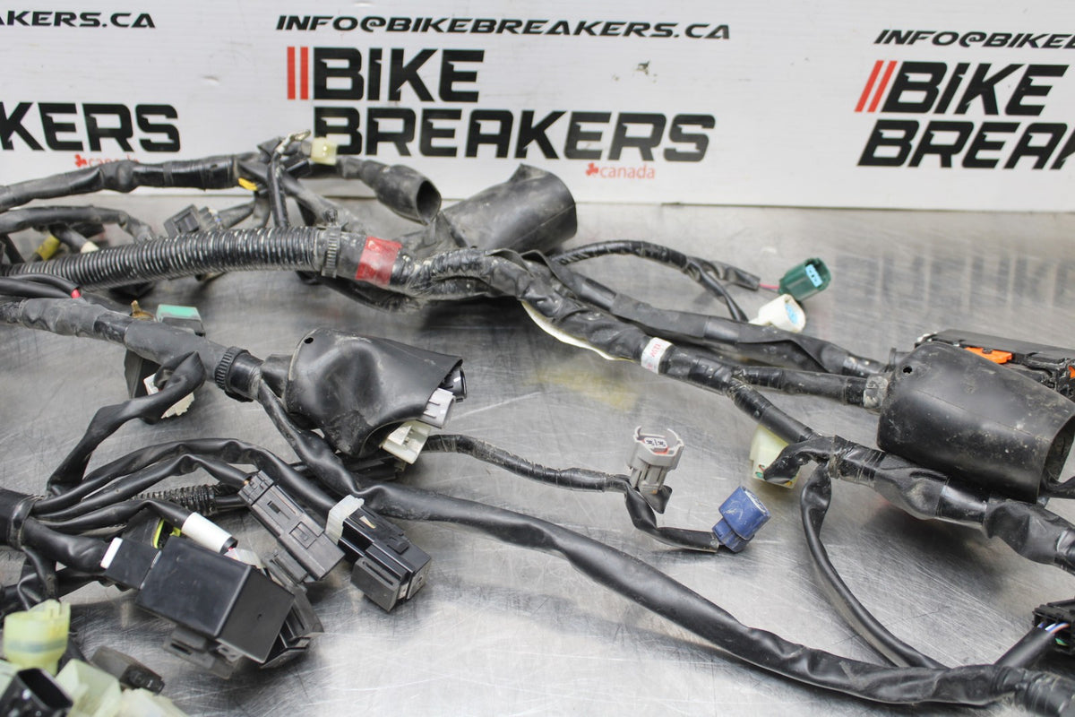 18 YAMAHA SUPER TENERE MAIN ENGINE WIRING HARNESS MOTOR WIRE LOOM BB832
