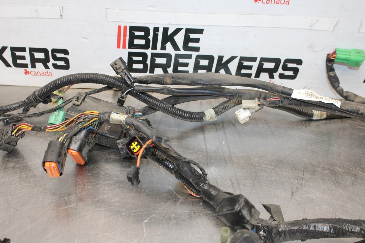 05-09 SUZUKI BOULEVARD C90 MAIN ENGINE WIRING HARNESS MOTOR WIRE LOOM BB918