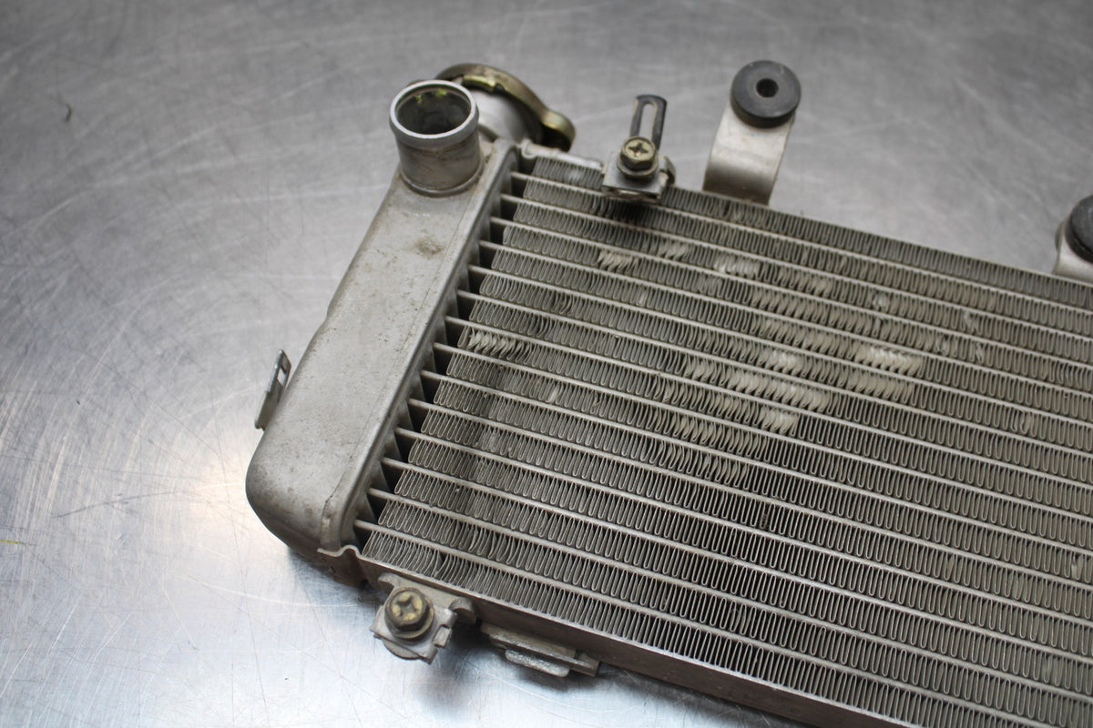 98-05 HONDA SUPER HAWK 1000 VTR1000F ENGINE RADIATOR MOTOR COOLER COOLING BB821