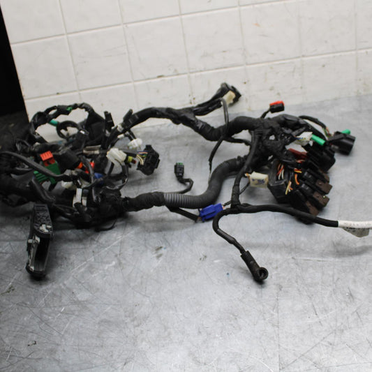 21 HUSQVARNA VITPILEN 401 MAIN ENGINE WIRING HARNESS MOTOR WIRE LOOM BB467