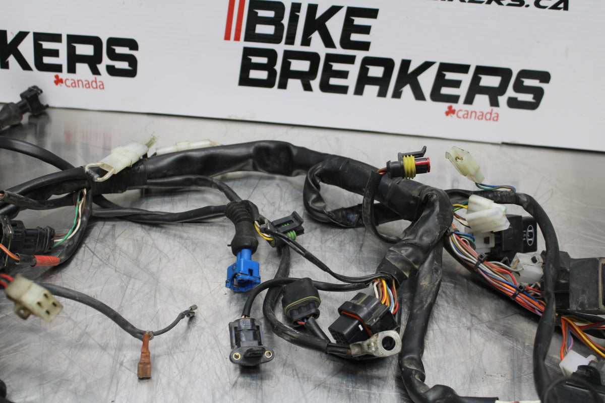 08 MOTO GUZZI BREVA 750 MAIN ENGINE WIRING HARNESS MOTOR WIRE LOOM BB154