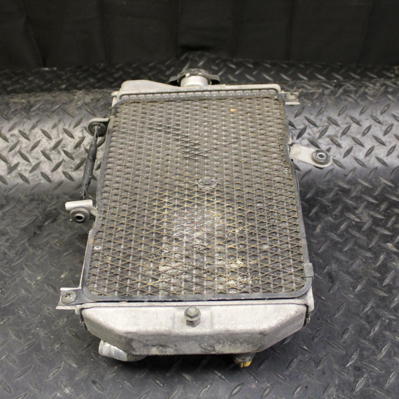 07 SUZUKI BURGMAN 650 ENGINE RADIATOR MOTOR COOLER COOLING RADIATER BB183