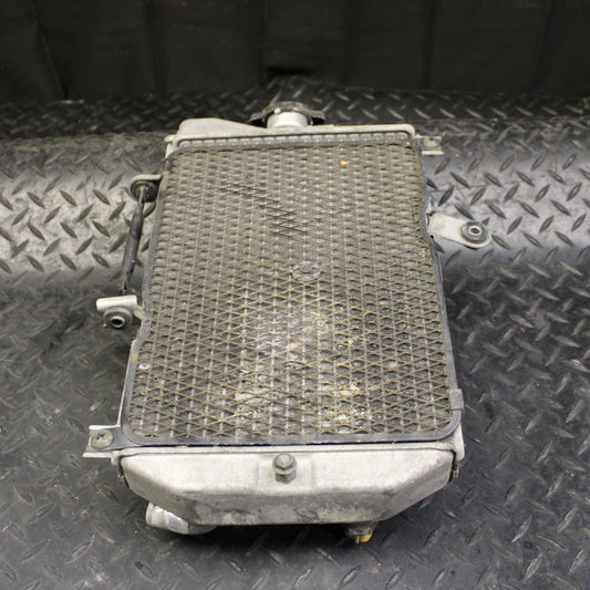 07 SUZUKI BURGMAN 650 ENGINE RADIATOR MOTOR COOLER COOLING RADIATER BB183