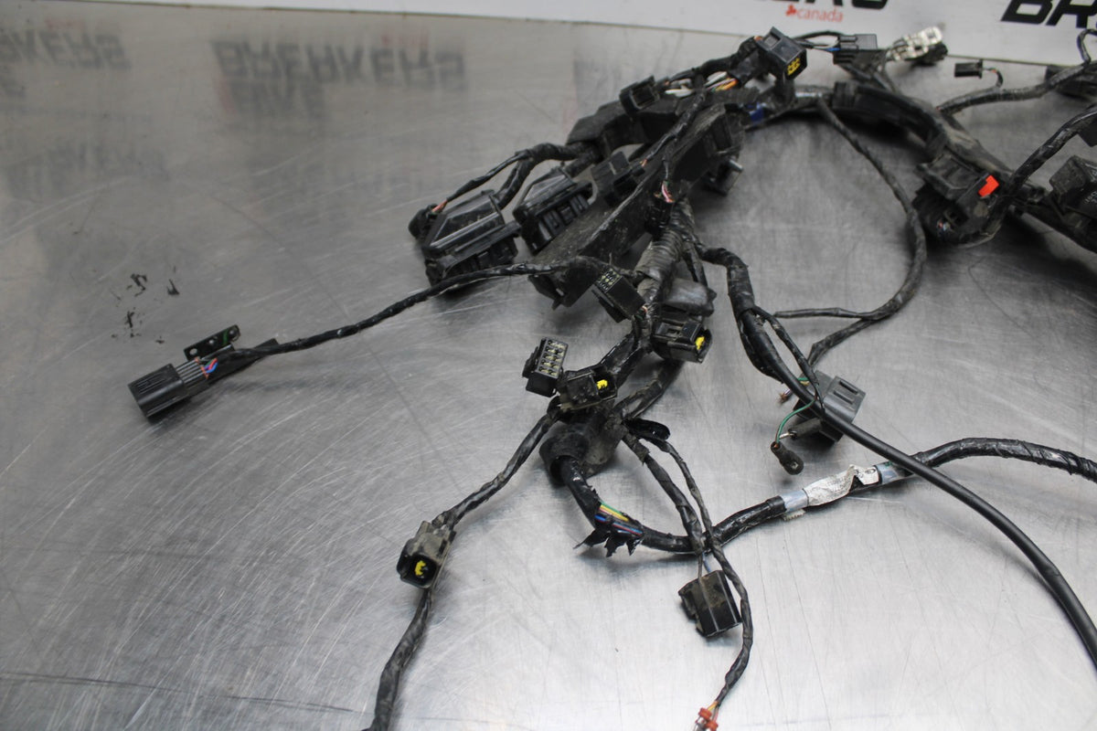 14 TRIUMPH STREET TRIPLE ABS MAIN ENGINE WIRING HARNESS MOTOR WIRE LOOM BB808