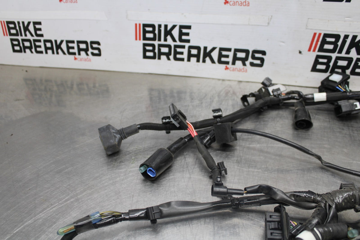 24-25 KAWASAKI NINJA ZX6R MAIN ENGINE WIRING HARNESS MOTOR WIRE LOOM BB939