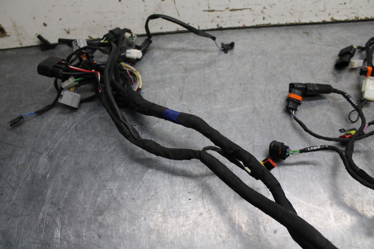 21-24 APRILIA TUONO 660 FACTORY MAIN ENGINE WIRING HARNESS MOTOR WIRE LOOM BB733