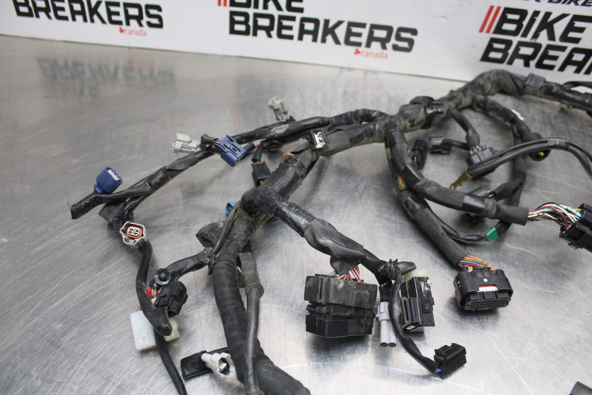 16 YAMAHA XSR900 MAIN ENGINE WIRING HARNESS MOTOR WIRE LOOM BB786