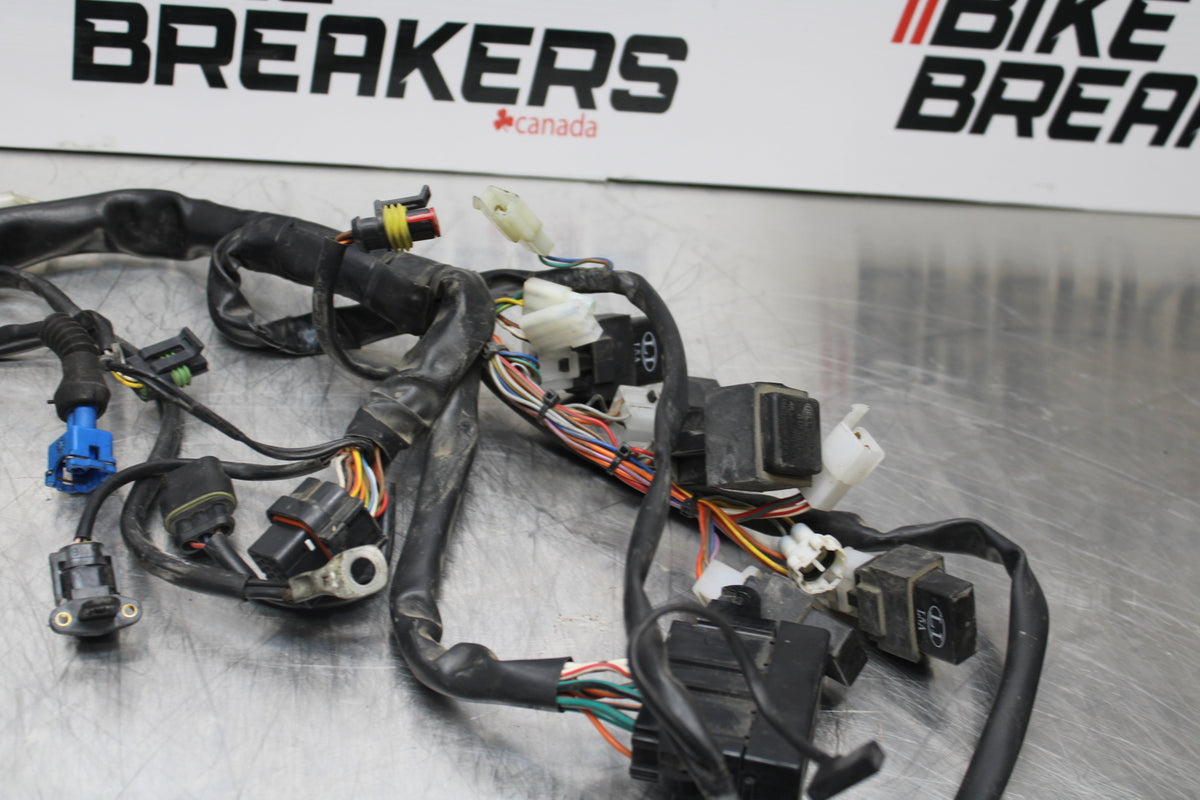 08 MOTO GUZZI BREVA 750 MAIN ENGINE WIRING HARNESS MOTOR WIRE LOOM BB154