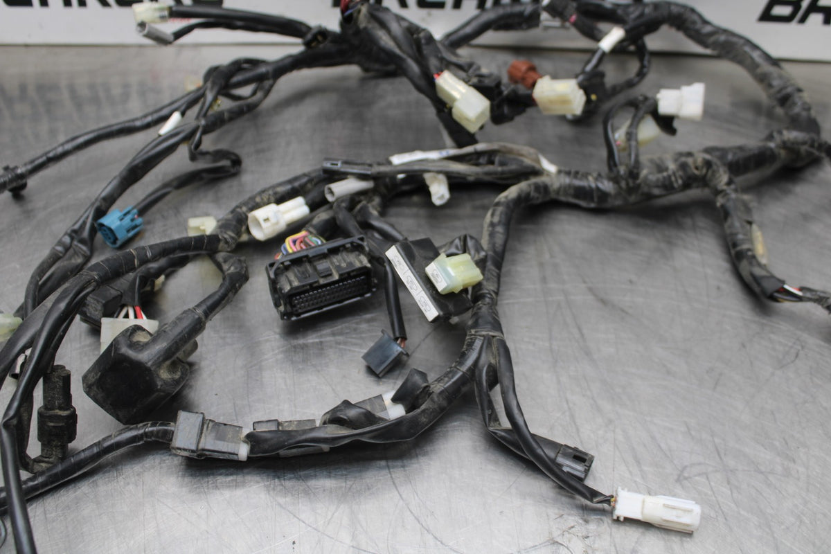 23 YAMAHA YZF R3 MAIN ENGINE WIRING HARNESS MOTOR WIRE LOOM BB806