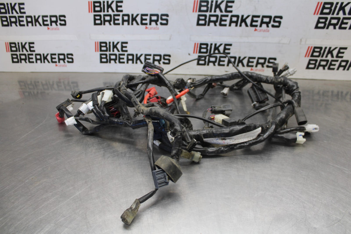 19-24 YAMAHA R3 MAIN ENGINE WIRING HARNESS MOTOR WIRE LOOM BB942