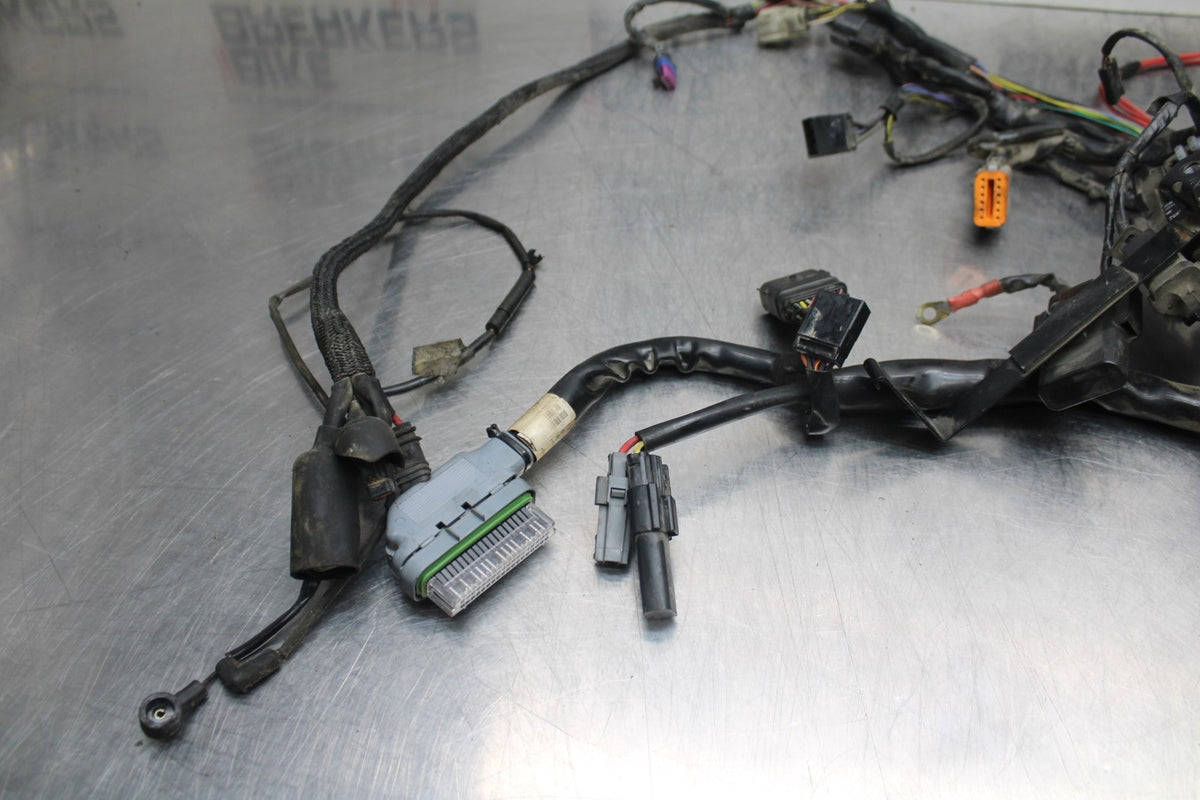 08 HARLEY-DAVIDSON SPORTSTER 1200 MAIN ENGINE WIRING HARNESS WIRE LOOM BB794