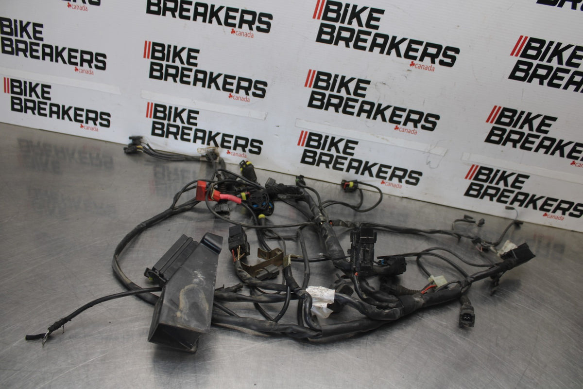 05 DUCATI SUPERSPORT 800 MAIN ENGINE WIRING HARNESS MOTOR WIRE LOOM BB913