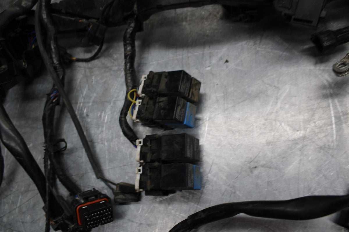 17-21 TRIUMPH STREET TRIPPLE R ABS MAIN  WIRING HARNESS MOTOR WIRE LOOM bb452