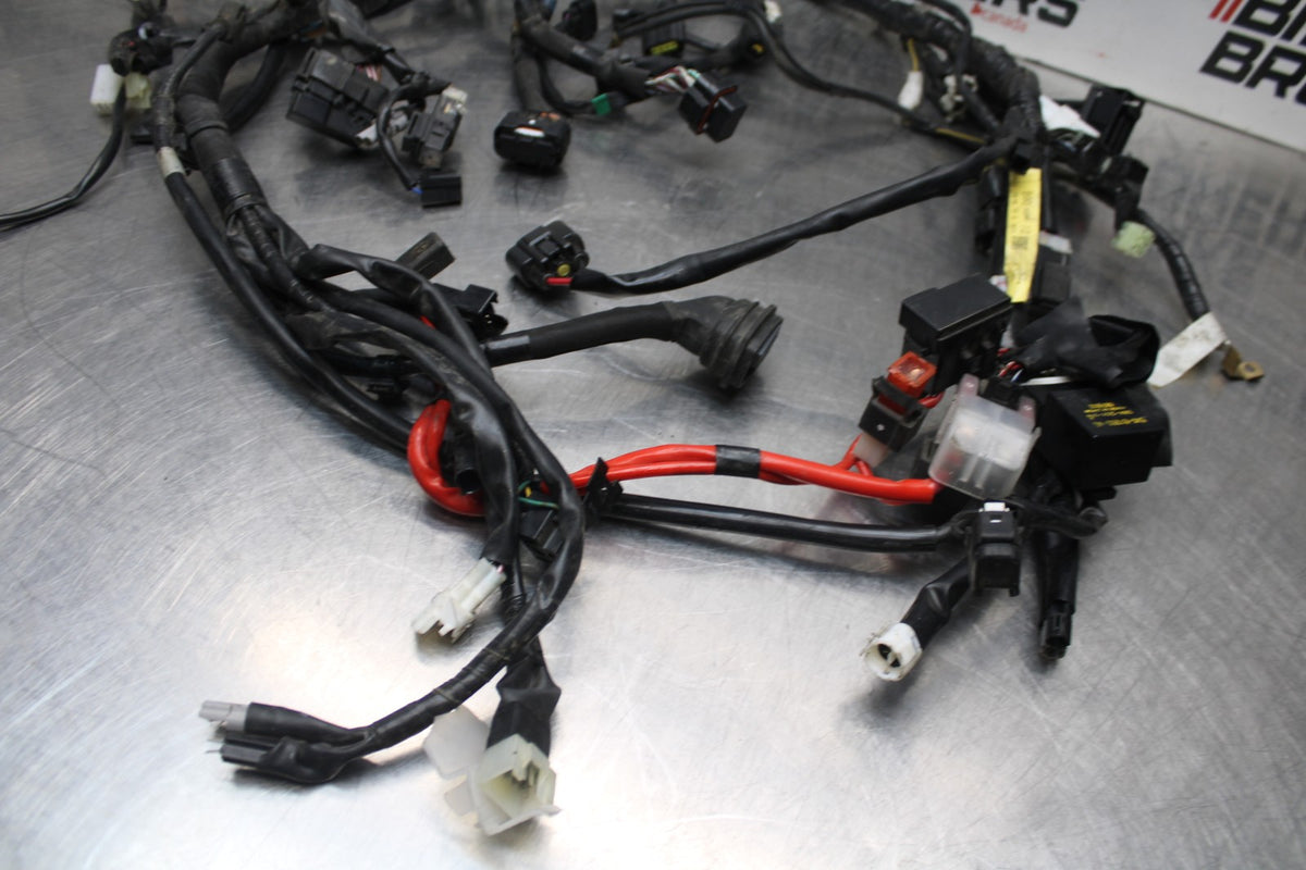16 YAMAHA XSR900 MAIN ENGINE WIRING HARNESS MOTOR WIRE LOOM BB786