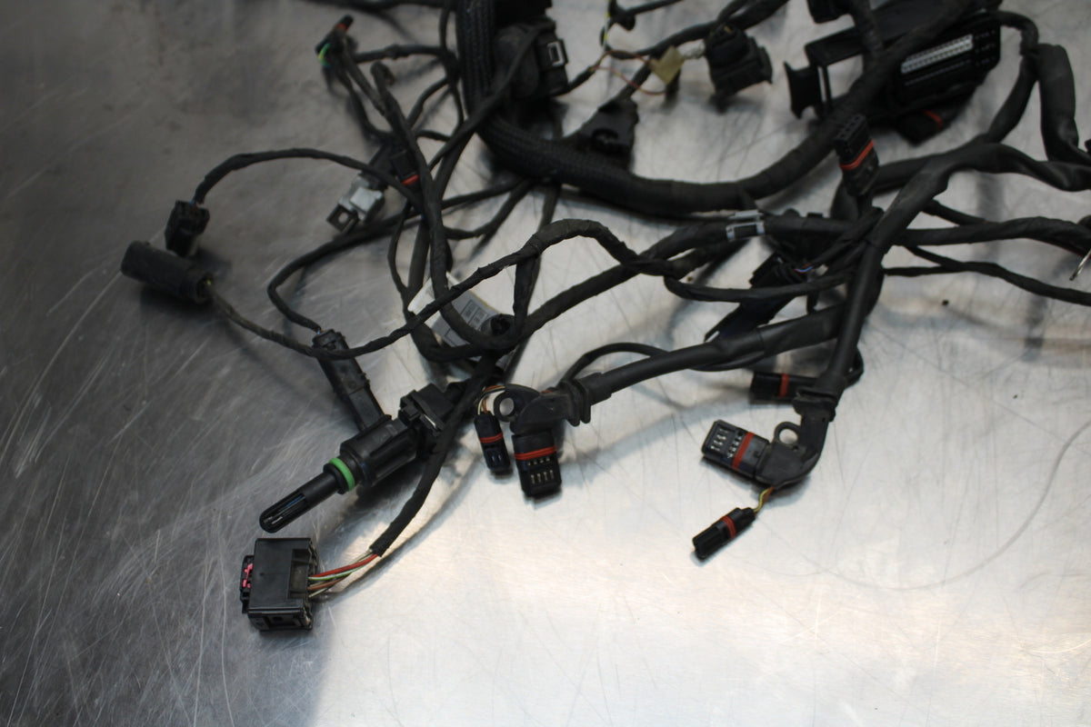 06-12 BMW F800ST MAIN ENGINE WIRING HARNESS MOTOR WIRE LOOM BB144