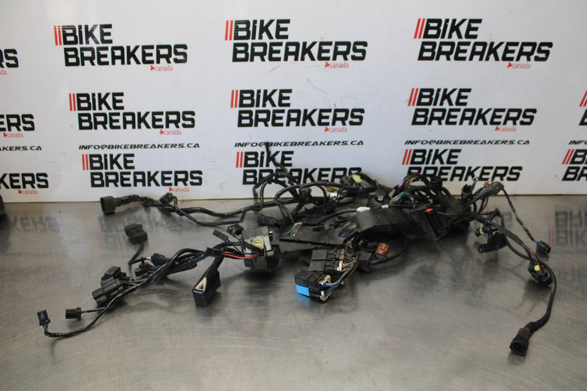 20 TRIUMPH STREET TRIPLE 765 MAIN ENGINE WIRING HARNESS MOTOR WIRE LOOM BB864