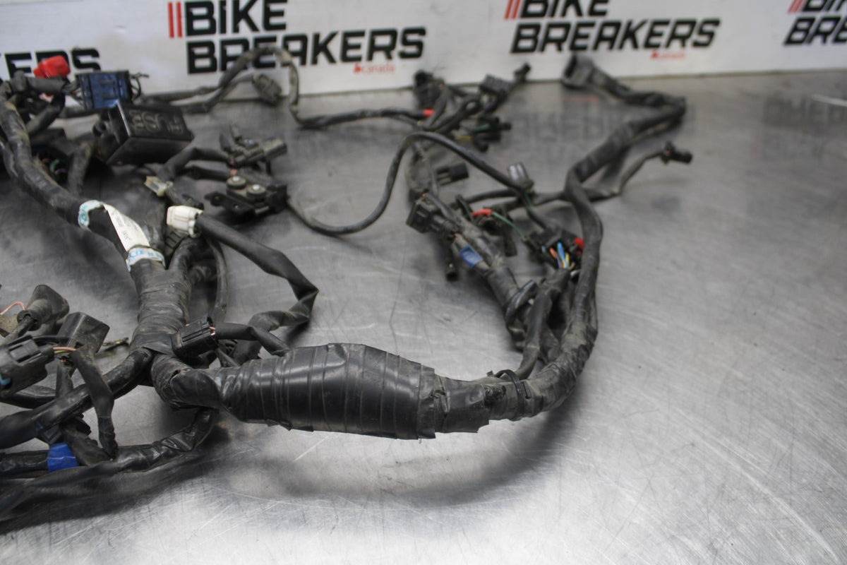 05-08 TRIUMPH SPEED TRIPLE 1050 MAIN ENGINE WIRING HARNESS MOTOR WIRE LOOM BB933