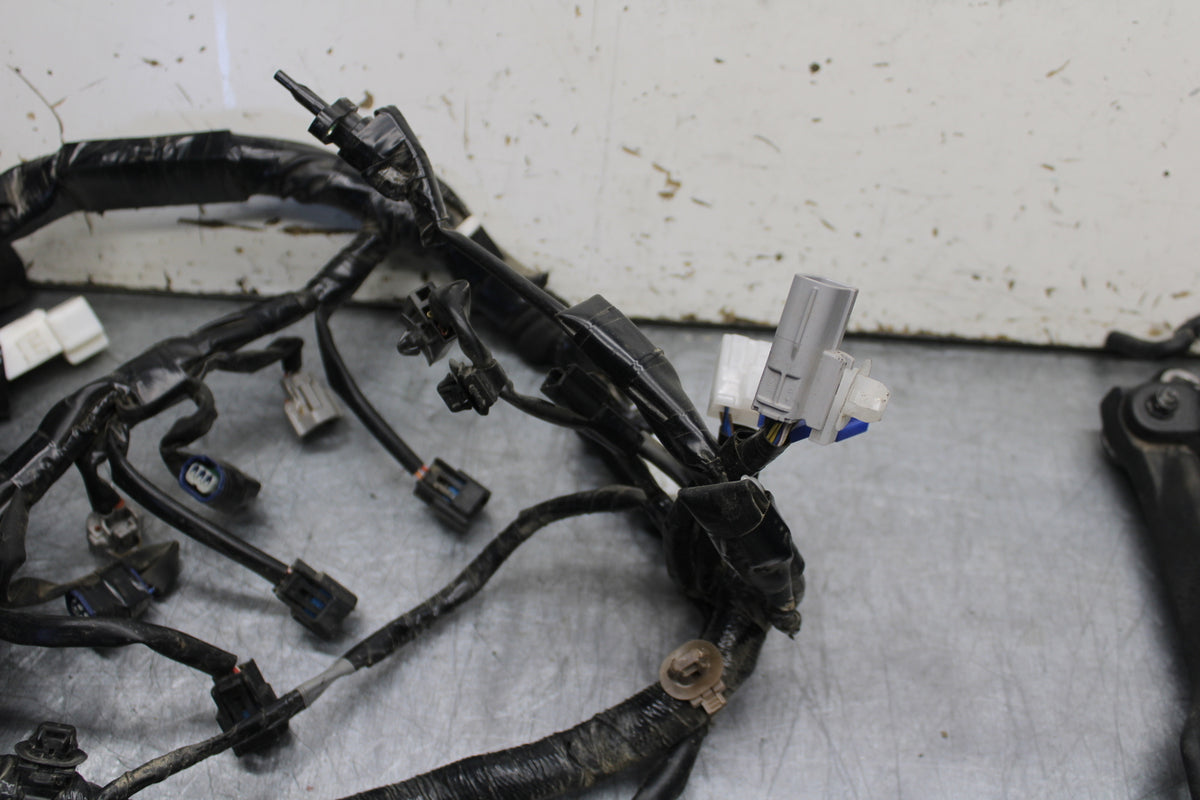 22-24 YAMAHA XSR900 MAIN ENGINE WIRING HARNESS MOTOR WIRE LOOM BB710