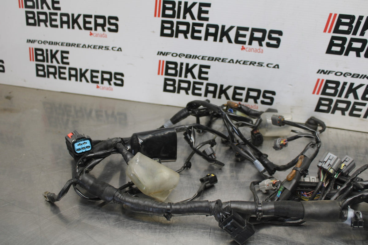 24-25 KAWASAKI ELIMINATOR 450 MAIN ENGINE WIRING HARNESS MOTOR WIRE LOOM BB869