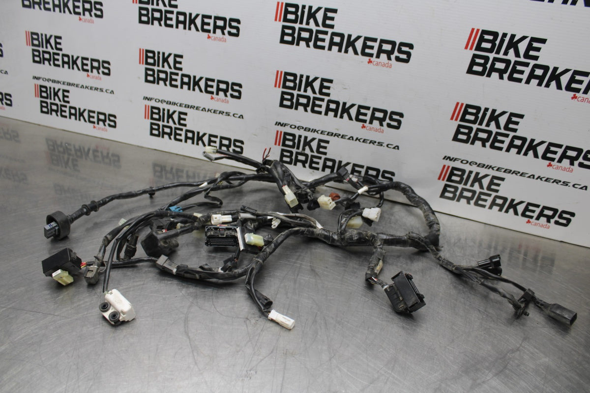 23 YAMAHA YZF R3 MAIN ENGINE WIRING HARNESS MOTOR WIRE LOOM BB806