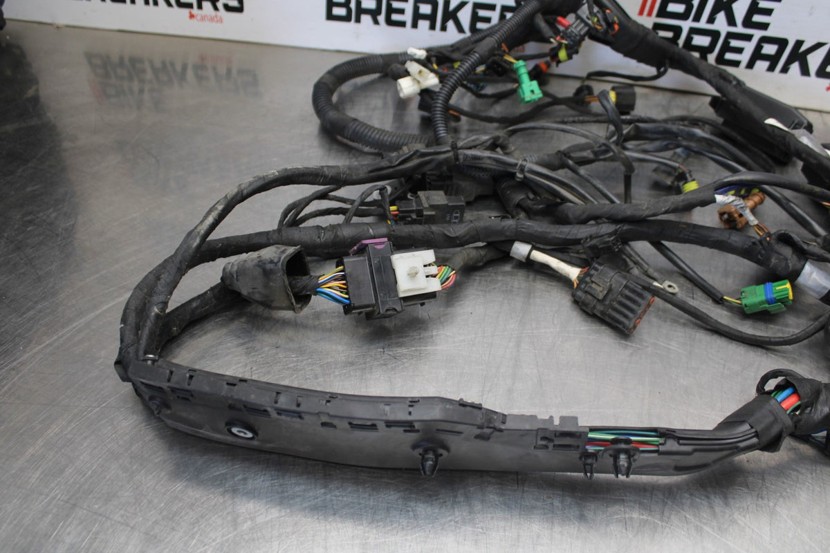16 APRILIA TUONO V4 1100 ENGINE WIRING HARNESS MOTOR WIRE LOOM BB905