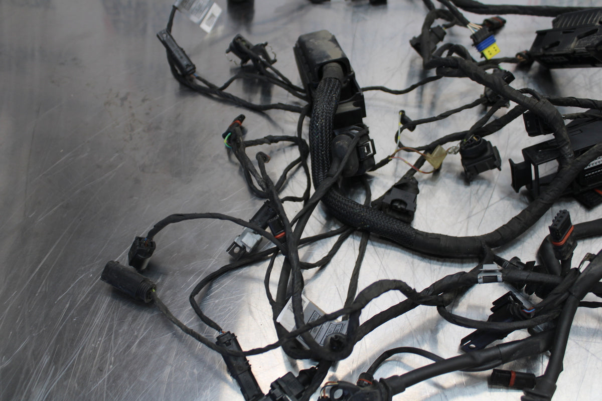 06-12 BMW F800ST MAIN ENGINE WIRING HARNESS MOTOR WIRE LOOM BB144
