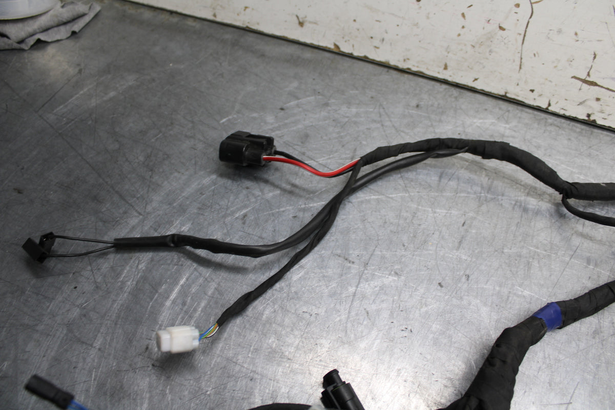 21-24 APRILIA TUONO 660 FACTORY MAIN ENGINE WIRING HARNESS MOTOR WIRE LOOM BB733