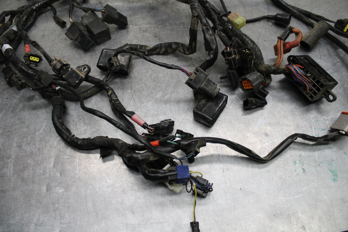 14-16 TRIUMPH AMERICA LT MAIN ENGINE WIRING HARNESS MOTOR WIRE LOOM BB720