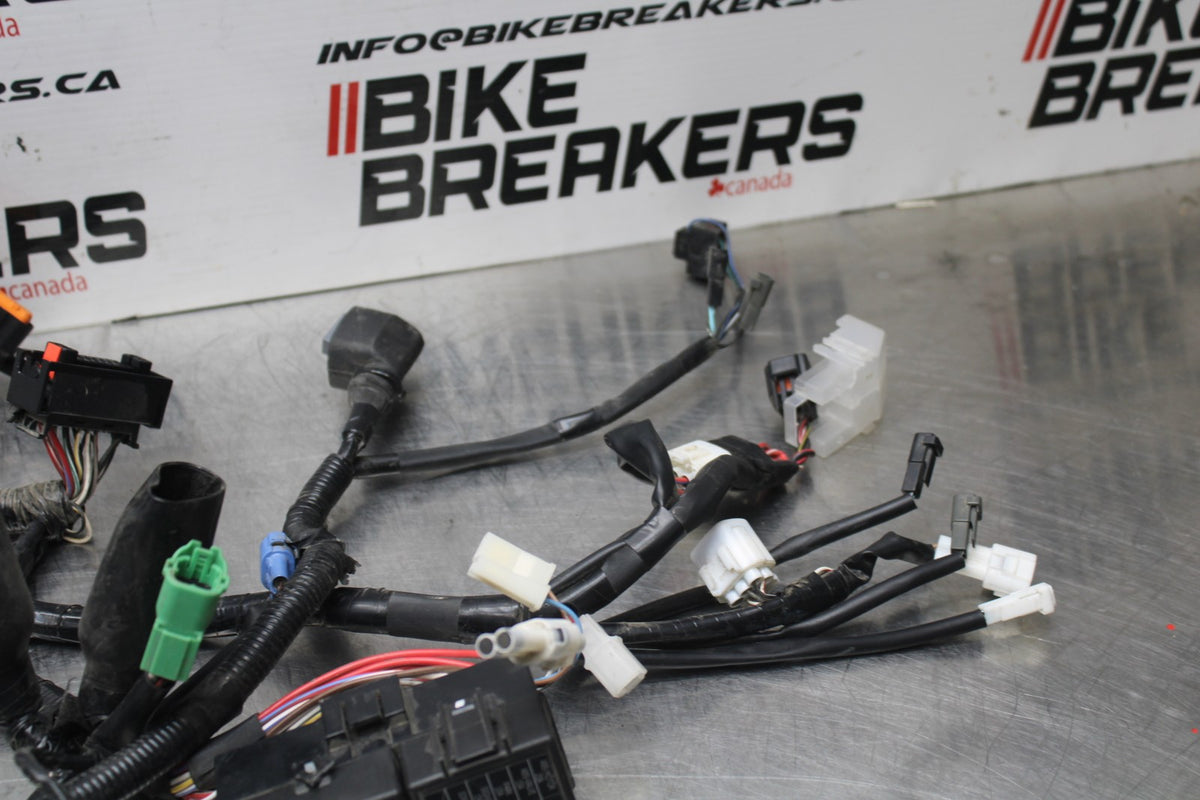 17-24 SUZUKI SV650 MAIN ENGINE WIRING HARNESS MOTOR WIRE LOOM BB829
