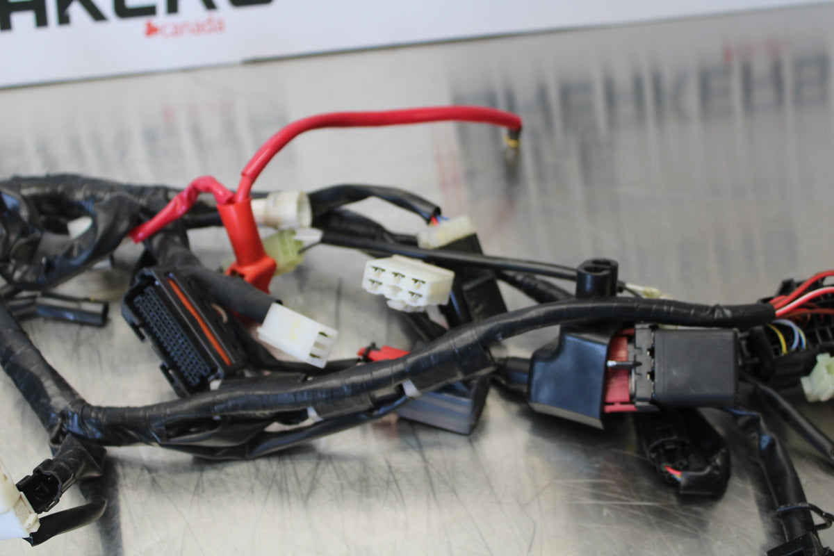 23 YAMAHA YZF R3 MAIN ENGINE WIRING HARNESS MOTOR WIRE LOOM BB147