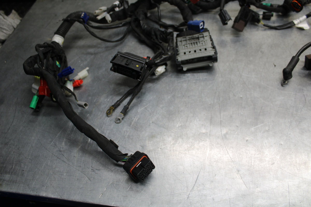 17-24 KTM 390 DUKE MAIN ENGINE WIRING HARNESS MOTOR WIRE LOOM BB734