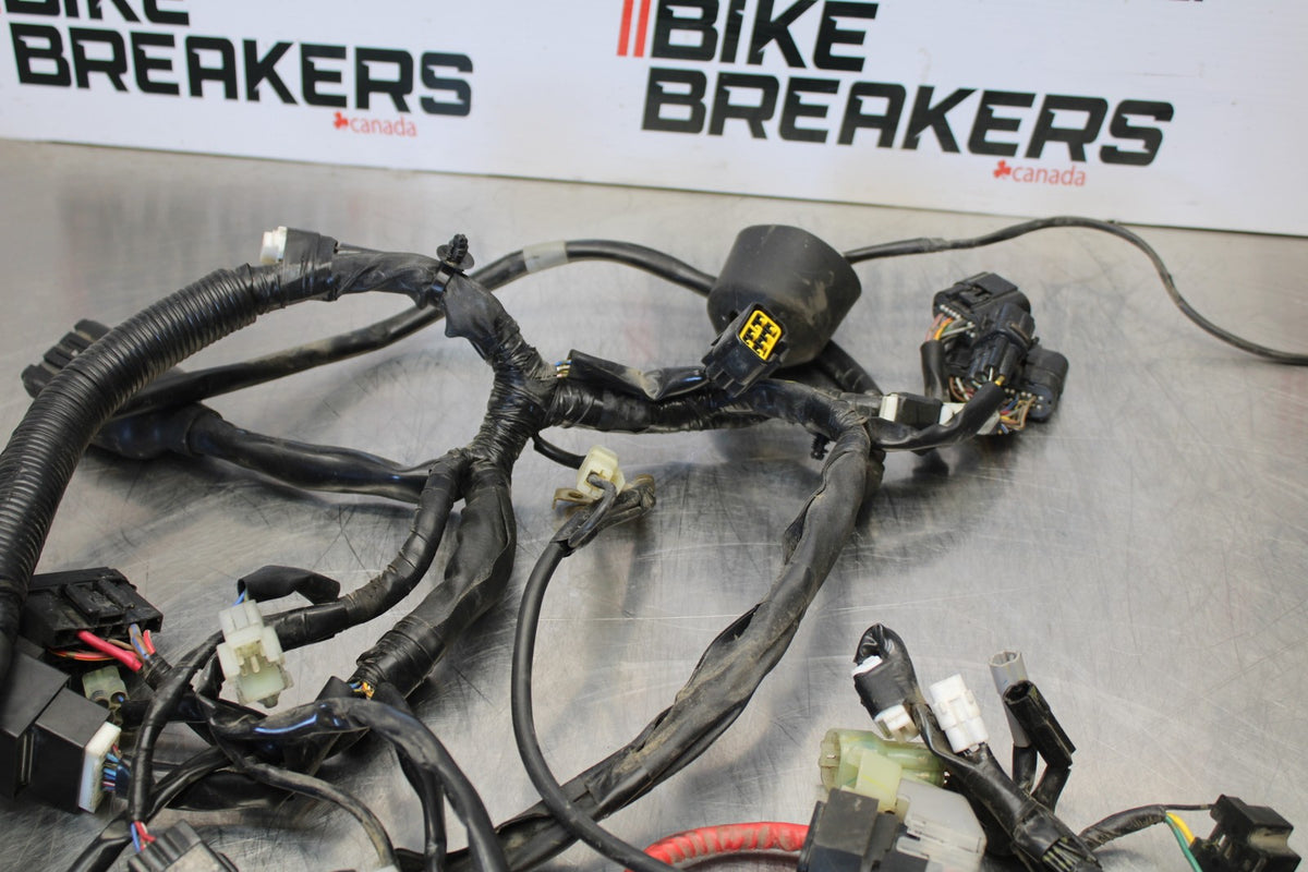 09 YAMAHA V STAR 950 MAIN ENGINE WIRING HARNESS MOTOR WIRE LOOM BB172