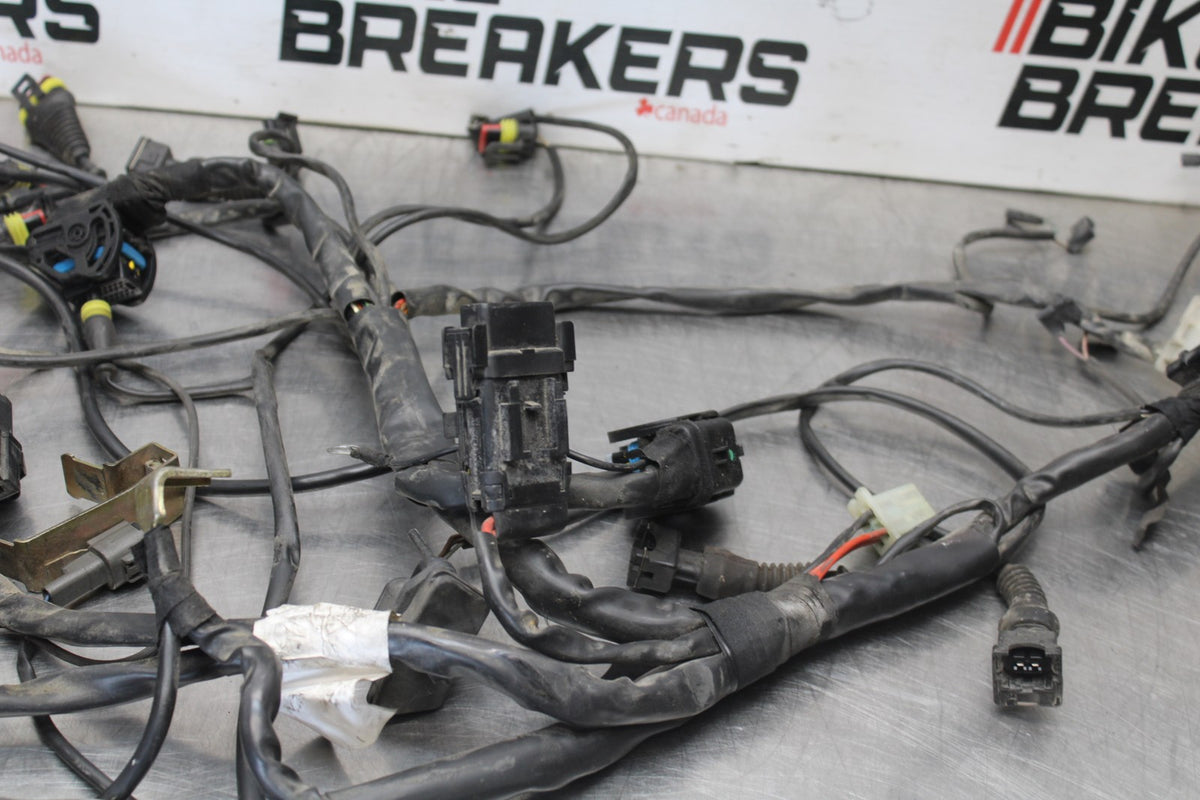 05 DUCATI SUPERSPORT 800 MAIN ENGINE WIRING HARNESS MOTOR WIRE LOOM BB913