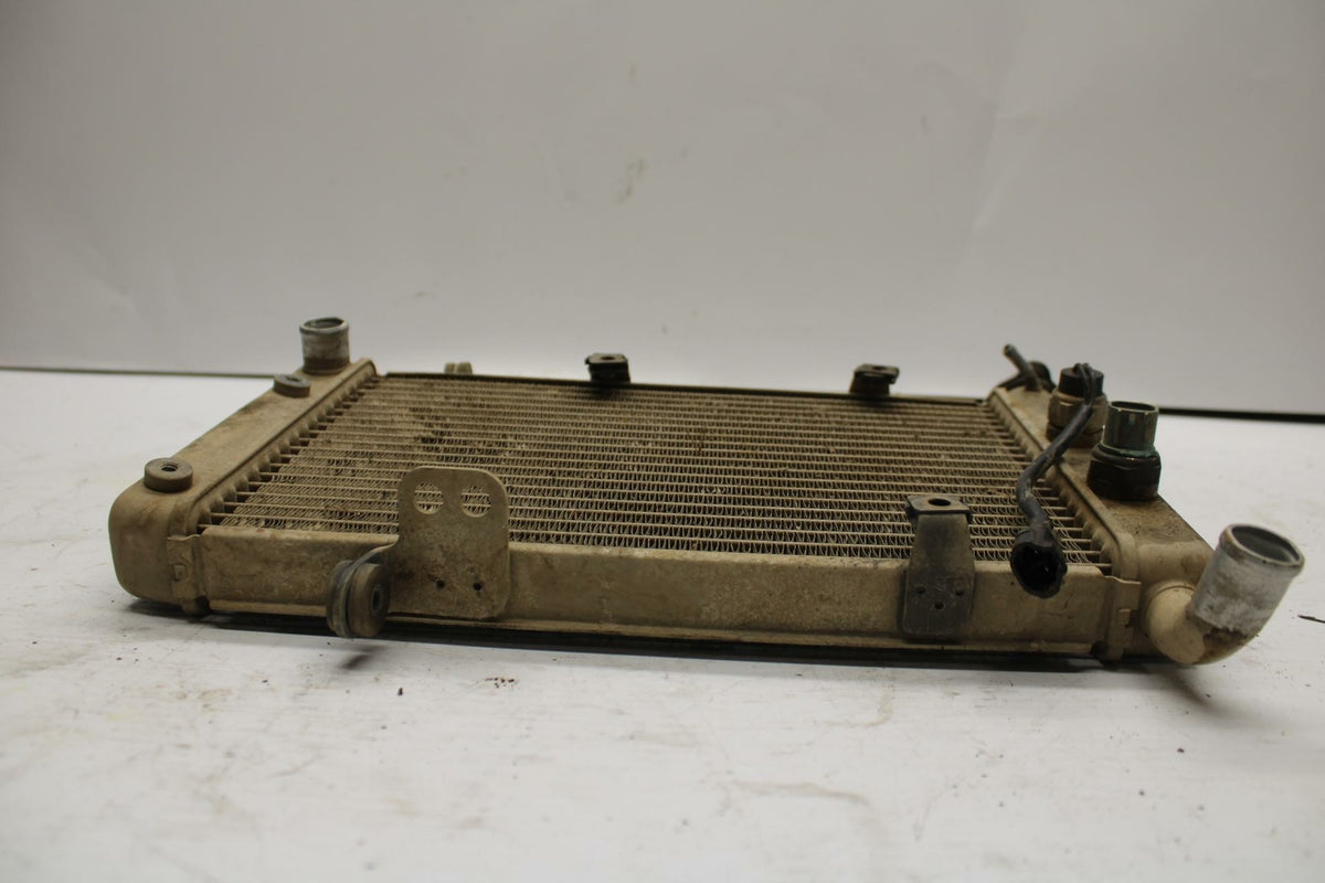 03-06 SUZUKI QUADSPORT Z400 ENGINE RADIATOR MOTOR COOLER COOLING RADIATER BB256