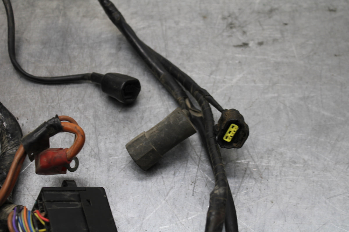 14-16 TRIUMPH AMERICA LT MAIN ENGINE WIRING HARNESS MOTOR WIRE LOOM BB720