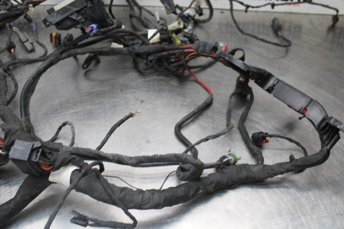22 HARLEY-DAVIDSON PAN AMERICA 1250 MAIN WIRING HARNESS & MOTOR WIRE LOOM BB910