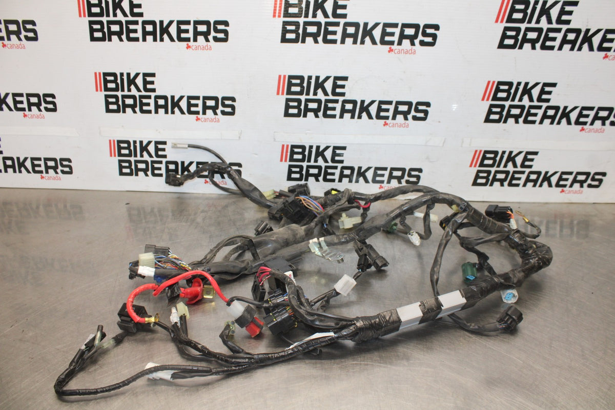 08-16 YAMAHA YZF R6 MAIN ENGINE WIRING HARNESS MOTOR WIRE LOOM BB929