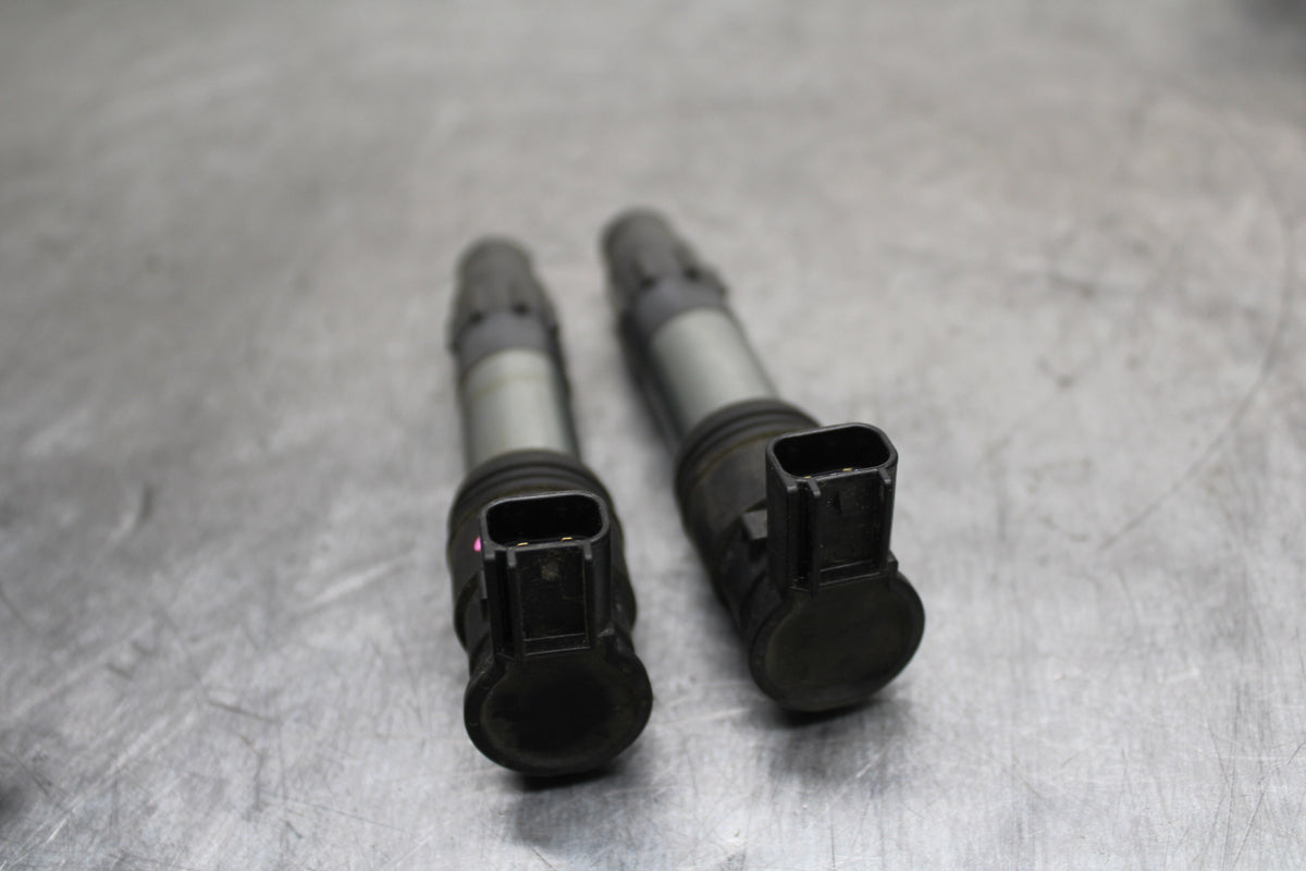 13-17 KAWASAKI NINJA 300 IGNITION COILS COIL SPARK PLUG CAPS BB128