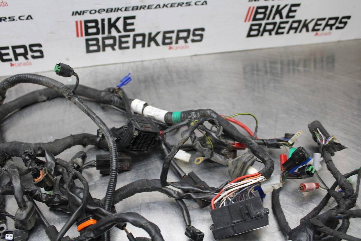 13-16 KTM 390 DUKE MAIN ENGINE WIRING HARNESS MOTOR WIRE LOOM BB815