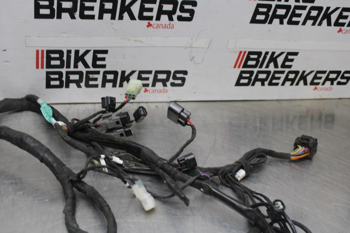 16 DUCATI 959 PANIGALE MAIN ENGINE WIRING HARNESS MOTOR WIRE LOOM BB912