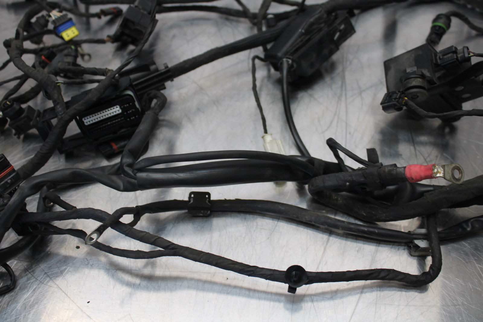 06-12 BMW F800ST MAIN ENGINE WIRING HARNESS MOTOR WIRE LOOM BB144