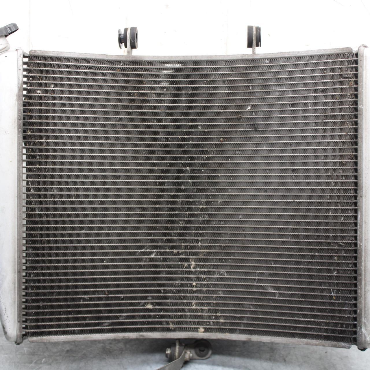 2009 Kawasaki Ninja ZX6R ZX600R ENGINE RADIATOR MOTOR COOLER  RADIATER BB548