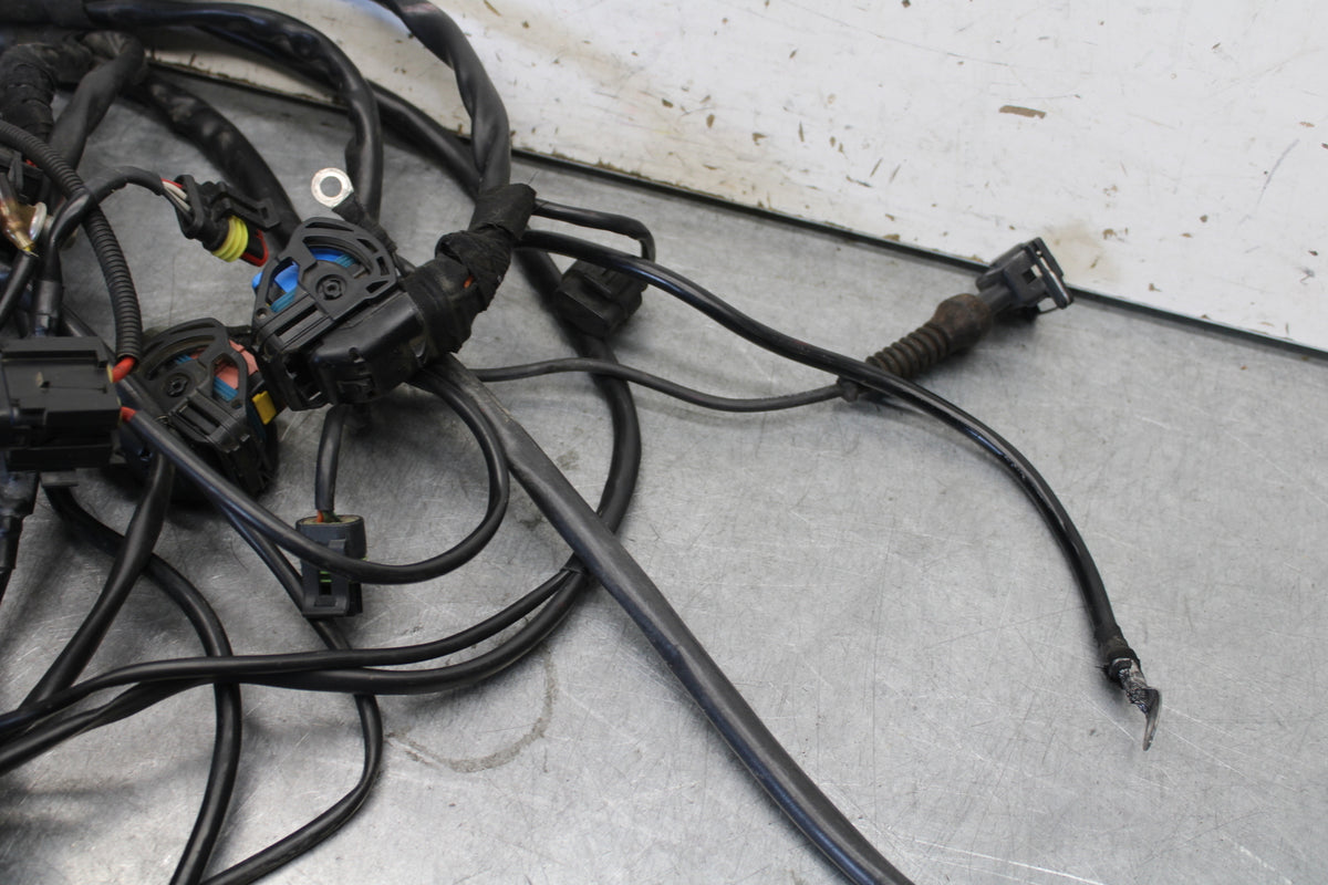 06-07 DUCATI MONSTER 695 MAIN ENGINE WIRING HARNESS MOTOR WIRE LOOM BB674