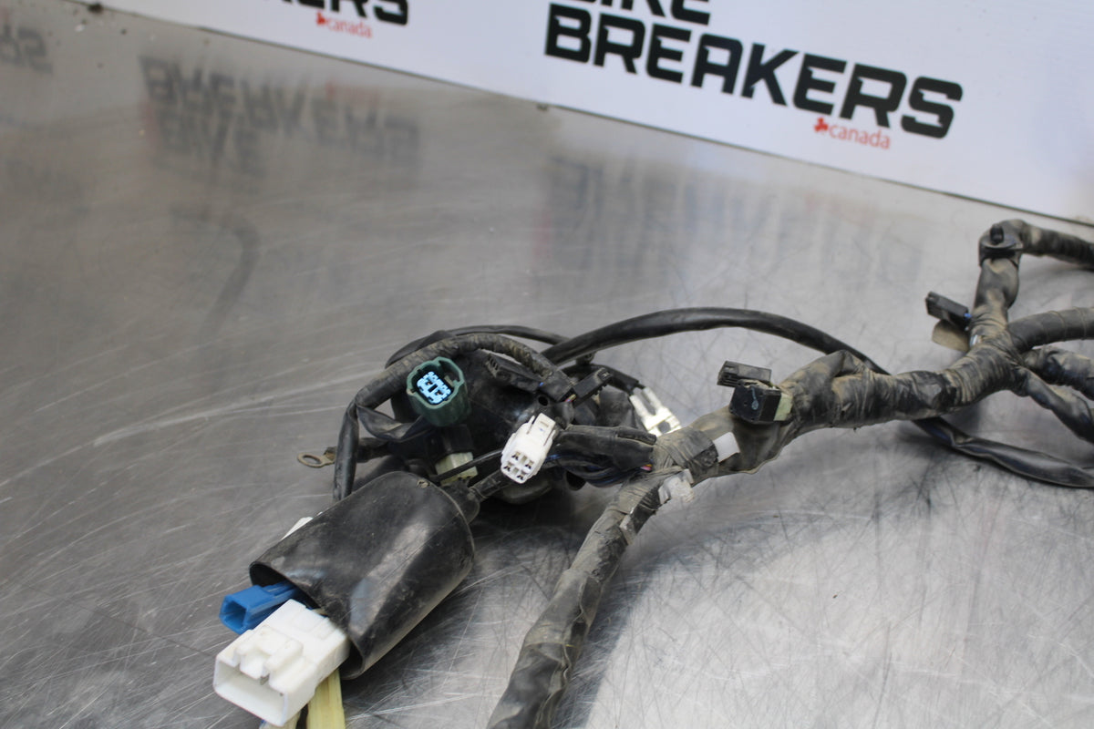 09-15 YAMAHA FZ6R MAIN ENGINE WIRING HARNESS MOTOR WIRE LOOM BB161