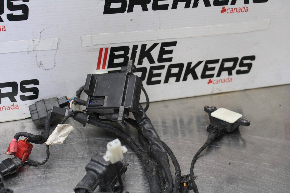 16 APRILIA TUONO V4 1100 ENGINE WIRING HARNESS MOTOR WIRE LOOM BB905