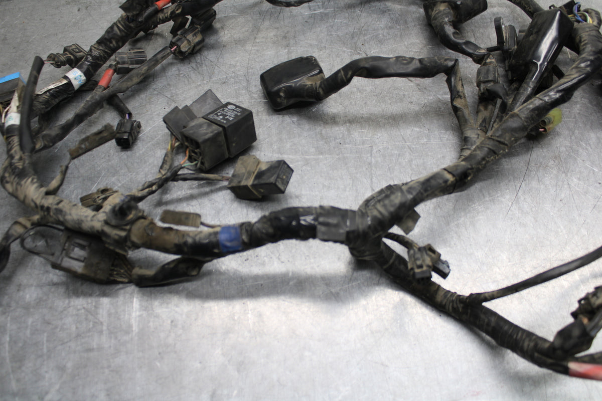 14-16 TRIUMPH AMERICA LT MAIN ENGINE WIRING HARNESS MOTOR WIRE LOOM BB720