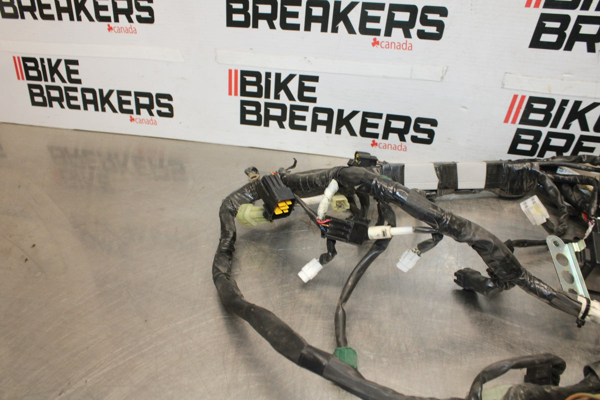 08-16 YAMAHA YZF R6 MAIN ENGINE WIRING HARNESS MOTOR WIRE LOOM BB929