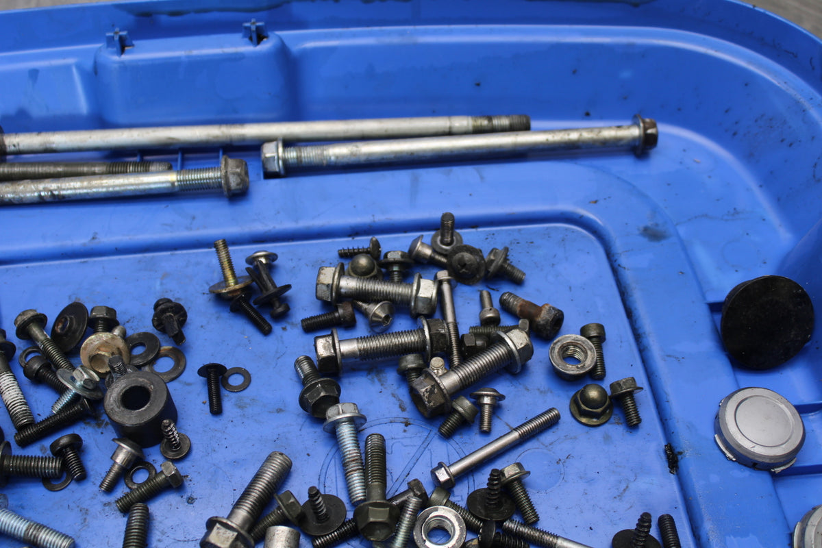 04-09 SUZUKI GS500F MOUNTING BOLTS HARDWARE MOTOR SCREWS BB165