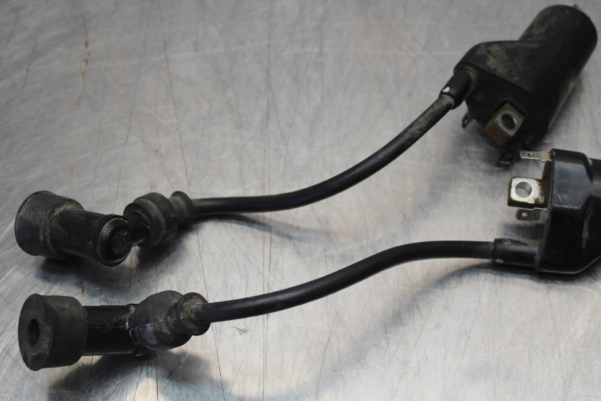 04-09 SUZUKI GS500F IGNITION COILS COIL SPARK PLUG CAPS BB165