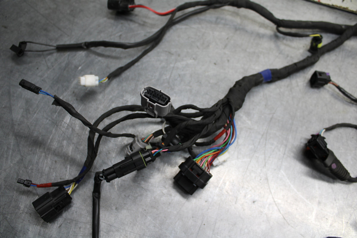21-24 APRILIA TUONO 660 FACTORY MAIN ENGINE WIRING HARNESS MOTOR WIRE LOOM BB733